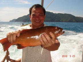 Hook 2010