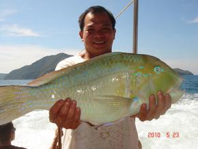 Hook 2010