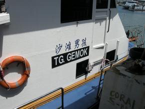 Hook 2010